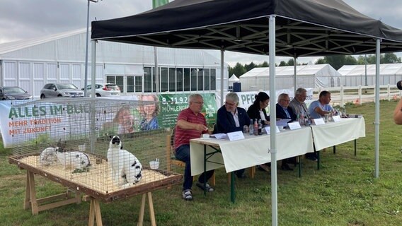 Mehrere Menschen sitzen unter einem Pavillon, im Vordergrund steht ein Kanninchenkäfig. © NDR Foto: Franziska Drewes