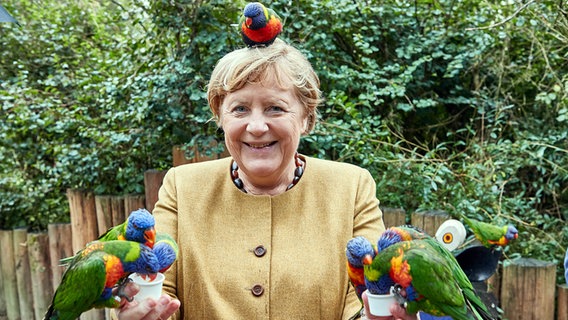 Angela Merkel (CDU), Bundeskanzlerin, füttert australische Loris im Vogelpark Marlow. © picture alliance/dpa Foto: Georg Wendt