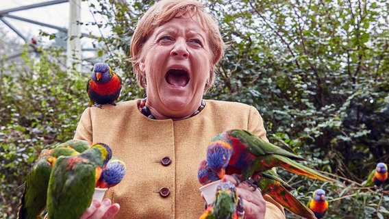 Angela Merkel (CDU), Bundeskanzlerin, füttert australische Loris im Vogelpark Marlow. © picture alliance/dpa Foto: Georg Wendt