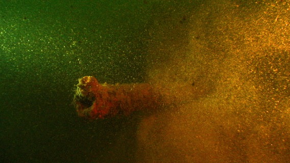MIG 15-Wrack in Schweriner Außensee gefunden © Gert Niedzwiedz Foto: Gert Niedzwiedz