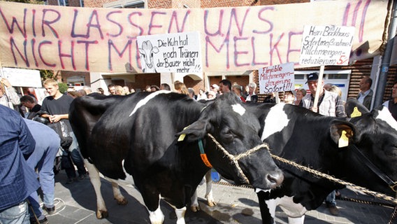 Milchbauern protestieren in der Innenstadt von Schwerin. © dpa-Bildfunk Foto: Jens Büttner
