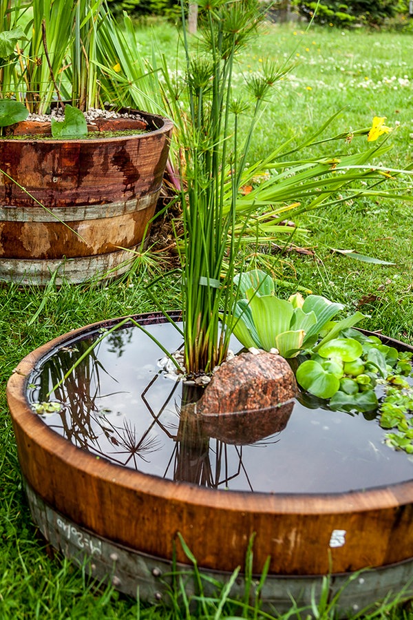 Miniteiche Aus Fassern Und Kubeln Anlegen Ndr De Ratgeber Garten
