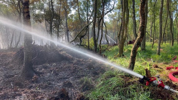 Ein fixierter Feuerwehrschlauch, der von einem vom Brand nicht betroffenen Waldstück Wasser auf ein verkohltes und nach wie vor brennendes Waldstück sprüht. © NDR Foto: NDR