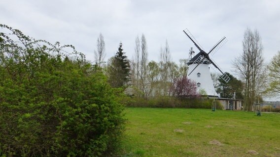 Die Dierkower Mühle © Hanse- und Universitätsstadt Rostock 