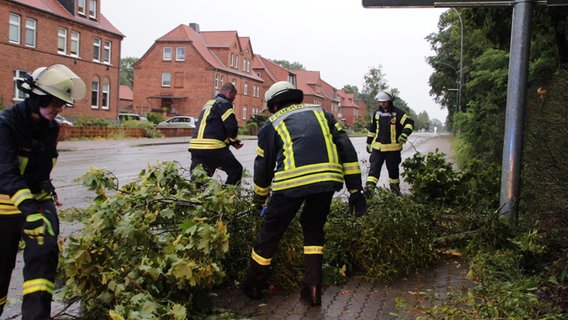 Feuerwehrmänner räumen einen Ast von der Straße. © Ralf Drefin 