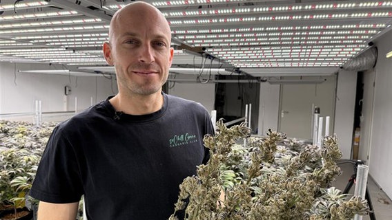 Marc Thalus vom Greifswalder Cannabis-Club "SoChill Green" © NDR Foto: Paula Deusing