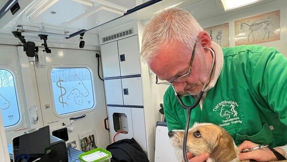 Tierheiler Christian Ergenzinger mit einem Hund im Tier-Ambulanzwagen © NDR Foto: Peter Göseke