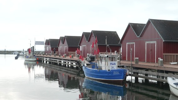 Der Fischersteg in Boltenhagen ist frisch saniert. © NDR Foto: Raik Raupach