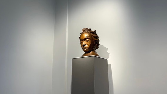 Bronze Kopf von Beethooven. Ein Werk des Güstrower Künstlers Ernst Barlach. © NDR Foto: Golo Schmiedt