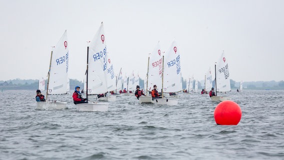 Regattafeld von vielen Opti-Jollen auf dem Weg zur roten Wendemarke. © Boddenracer Foto: Sönke Langner