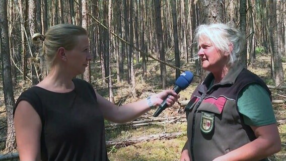 NDR Reporterin Claudia Krüger im Gespräch mit der Leiterin des Forstamts Mirow Angela Wilke. © NDR Foto: NDR