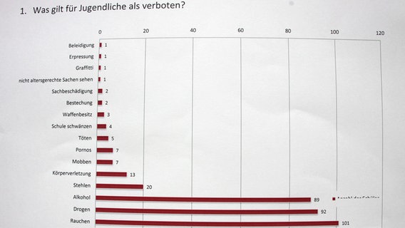 Umfrage an der Evangelischen Schule Dettmannsdorf © NDR Foto: NDR Newcomernews