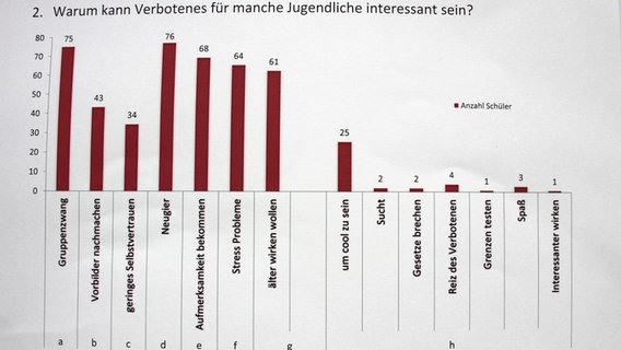 Umfrage an der Evangelischen Schule Dettmannsdorf © NDR Foto: NDR Newcomernews