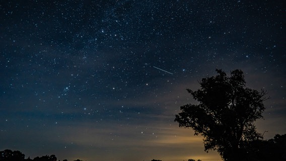 Eine Sternschnuppe am Nachthimmel. © NDR Foto: Gudrun Wange aus Grünow
