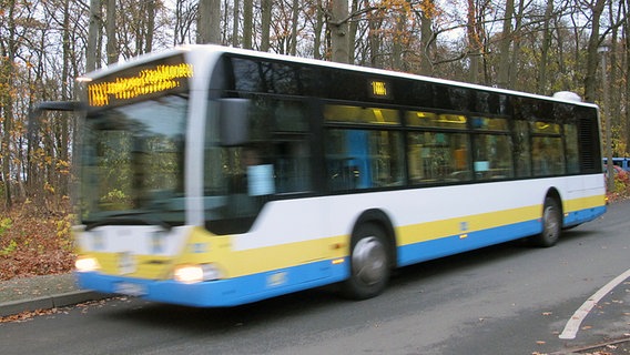 Bus des Schweriner Nahverkehrs © ndr.de Foto: Katharina Tamme
