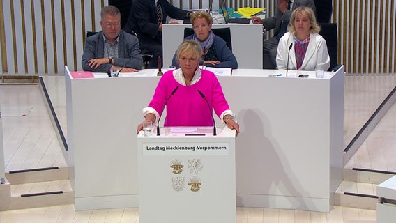 Simone Oldenburg (Die Linke) im Landtag © NDR 