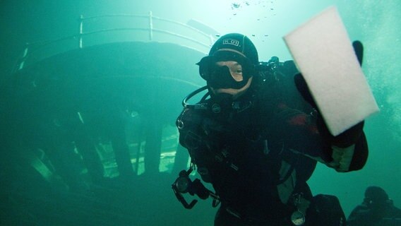 Stralsund: Ozeaneum-Taucheinsatzleiter Henning May putzt mit einem Schwamm die Scheibe des Schwarmfischbeckens. © dpa-Bildfunk Foto: Stefan Sauer