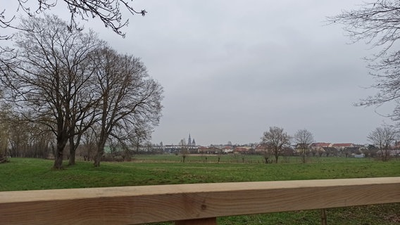 Ein neuer Aussichtspunkt mit einer Panoramabank wurde auf dem Caspar-David-Friedrich-Bildweg in Greifswald eingeweiht. © NDR 