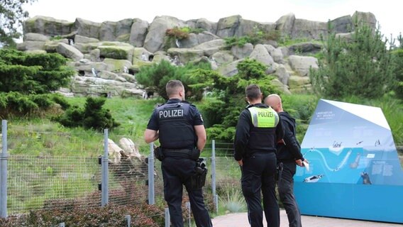 Polizei im Rostocker Zoo sucht nach Spuren. © Stefan Tretropp Foto: Stefan Tretrpp