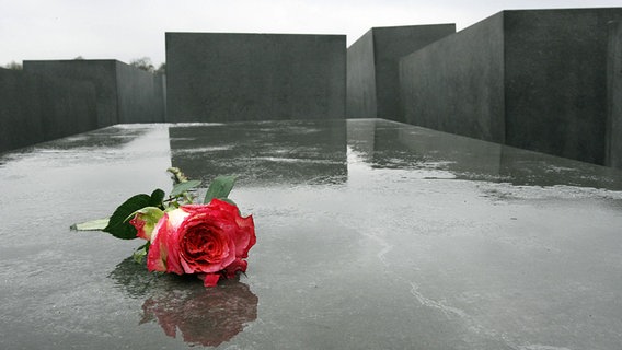 Eine Rose liegt auf einem Gedenkstein © imago/suedraumfoto Foto: unbekannt
