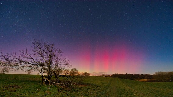 Polarlichter haben in der Nacht vom 26. auf den 27. Februar 2023 den Himmel über  rot und grün leuchten lassen. © NDR MV Foto: Sebastian-Paul Fründt aus Schwerin