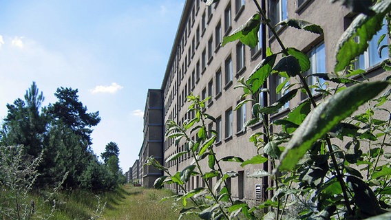 Die sogenannten Bettenhäuser des Seebads Prora auf der Insel Rügen © Dokumentationszentrum Prora 