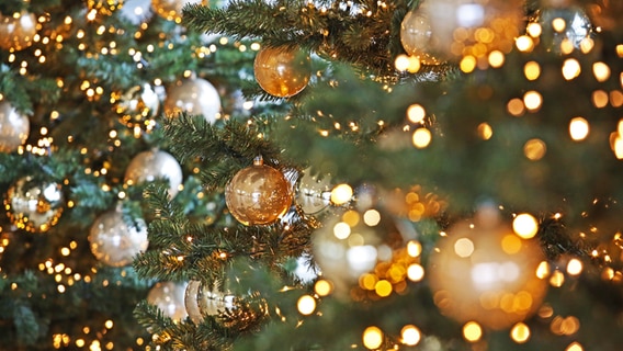 mit goldenen Kugeln geschmückte Weihnachtsbäume © IMAGO / Rene Traut Foto: Rene Traut