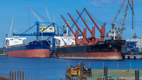 Zwei Massengutfrachter liegen am Schüttgutkai im Seehafen Rostock. © dpa-Bildfunk Foto: Jens Büttner