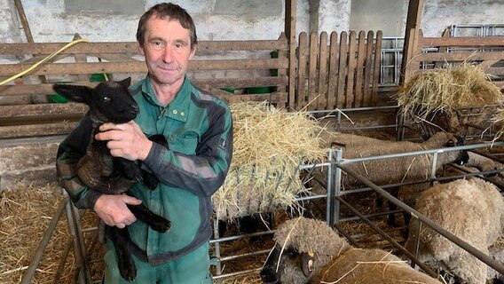 Jörg Pundt mit frischgeborenem Lamm - der Schafzüchter hält das Lamm in den Händen, er steht in Arbeitsklamotten auf einem Heuboden, auf dem weitere, ausgewachsene Schafe stehen. © NDR Foto: Silke Müller