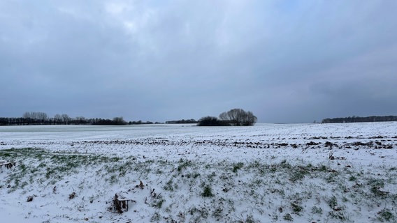 Ein verschneites Feld bei Naschendorf. Noch ragen Teile der Äcker aus den Schneemassen hervor, die allerdings den gesamten Landstrich bedecken. © NDR Foto: Anna Volkgenannt