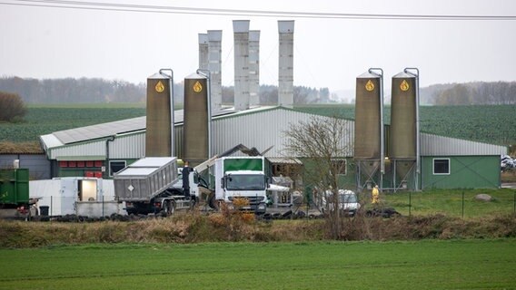 Ein Lkw bringt einen geschlossenen Transportcontainer auf das Gelände des von der Afrikanischen Schweinepest betroffenem Schweinezuchtbetriebs. © dpa-Bildfunk Foto: Jens Büttner