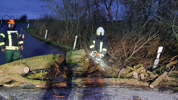 Feuerwehrleute zersägen einen Baum  Foto: Freiwillige Feuerwehr Schwerin-Wickendorf