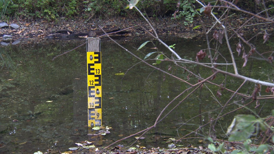 Klimawandel in MV: Dem Schweriner See geht das Wasser aus