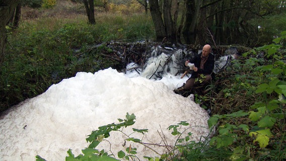 Ein Schaumberg auf dem Fluss Schwinge in Vorpommern  