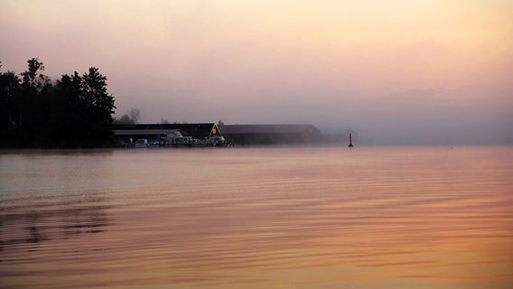 See im Nebel bei Sonnenaufgang © NDR Foto: Kristina Schmaglowski aus Malchow