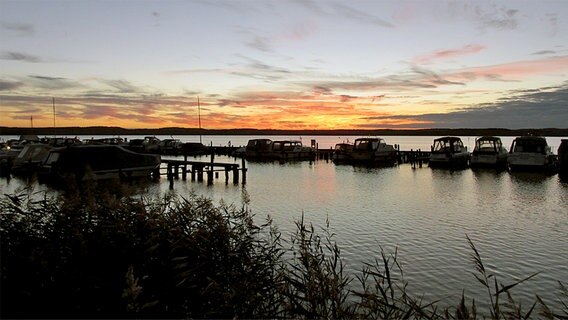 Boote liegen am Steg in einem See bei Sonnenuntergang. © NDR Foto: Hajo Schindler aus Neustrelitz