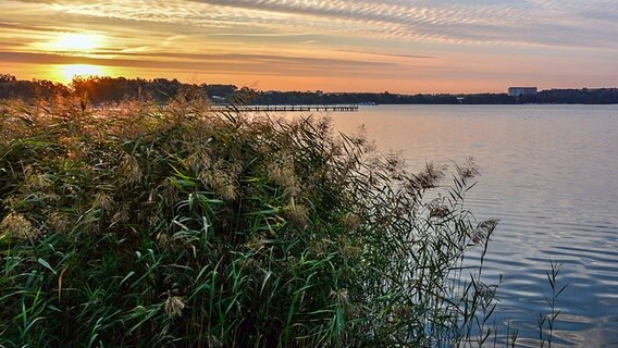 Sonnenaufgang an einem See. © NDR Foto: Manfred Bergholz aus Waren-Müritz