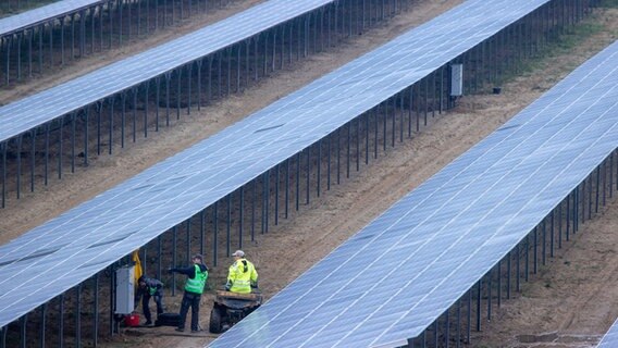 Bei Zietlitz wird an einem großen Solarpark gebaut. © dpa Foto: Jens Büttner