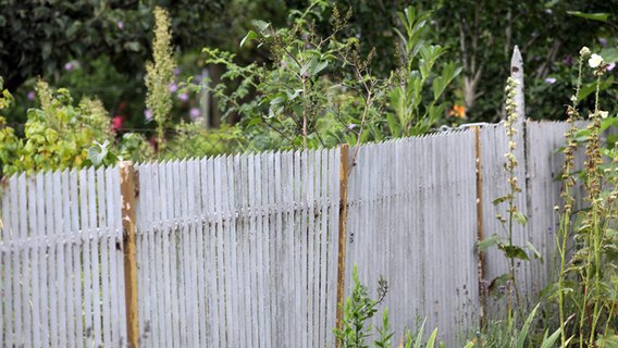 in Gartenzaun in einer Kleingartenanlage. Immer wieder gibt es zwischen Nachbarn Streit. © dpa Foto: Bernd Wüstneck