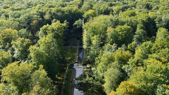Im Schlosspark Ludwigslust sind viele Bäume umgestürzt © dpa-Bildfunk Foto: Ralf Drefin