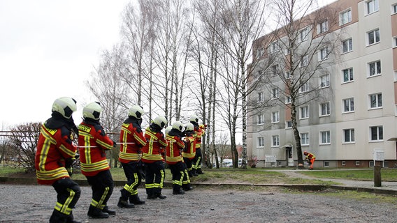 Die Feuerwehr fällt drei Birken in der Wolgaster Maxim-Gorki-Straße. Diese drohten umzustürzen.  © Tilo Wallrodt Foto: Tilo Wallrodt