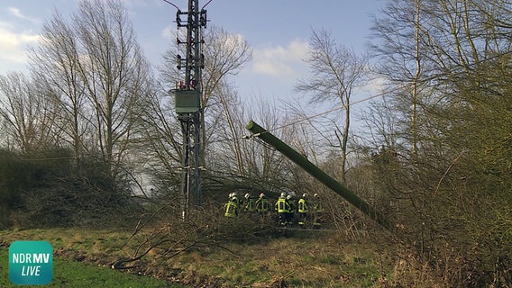 Sturmschäden bei Wismar  Foto: NDR