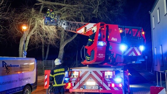 Feuerwehr schneidet einen umgeknickten Ast aus einem Baum. © dpa 