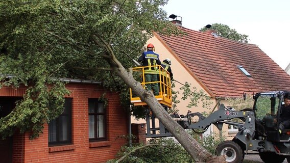 Ein Baum ist in Eldena (Landkreis Ludwigslust-Parchim) wegen eines Sturmtiefs auf ein Haus gestürzt. © NDR Foto: Ralf Drefin