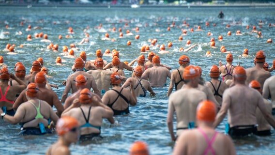 Beim 57. Internationalen Sundschwimmen starteten auf der Insel Rügen rund 1.000 Teilnehmer in die Fluten des Strelasunds. © dpa-bildfunk Foto: Stefan Sauer/dpa