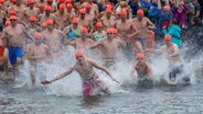 Beim 58. Internationalen Sundschwimmen starteten auf der Insel Rügen rund 1.050 Teilnehmer in die Fluten des Strelasunds. © dpa-bildfunk Foto: Stefan Sauer/dpa