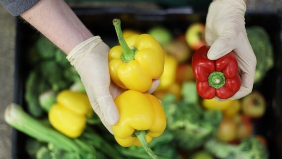 Zwei Hände mit Schutzhandschuhen halten drei Paprika über eine Gemüsekiste. © dpa Foto: Danny Gohlke