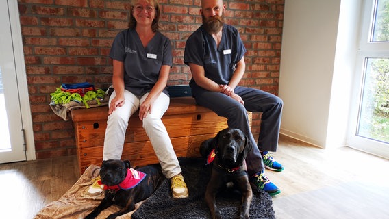 In der Zahnarztpraxis von Mathias Benedix in Ribnitz-Damgarten helfen auch die Therapiehunde Trude und Dr. Ed. © Nora Reinhardt Foto: Nora Reinhardt