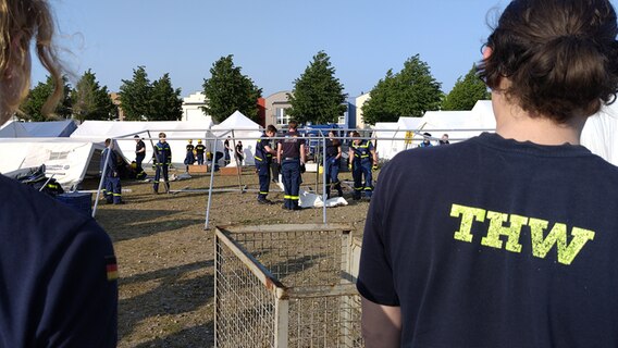 Jugendliche und Betreuer der THW bauen ein Zeltlager auf © NDR Foto: Woest Christoph