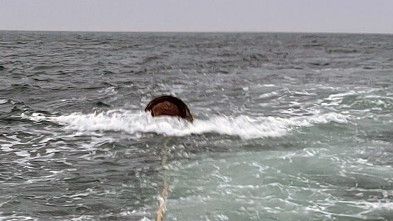 Torpedo wird durch die Ostsee geschleppt. © Hauptzollamt Stralsund Foto: Hauptzollamt Stralsund